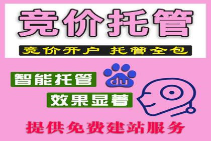 谷歌SEM案例研究：关键词优化策略解析